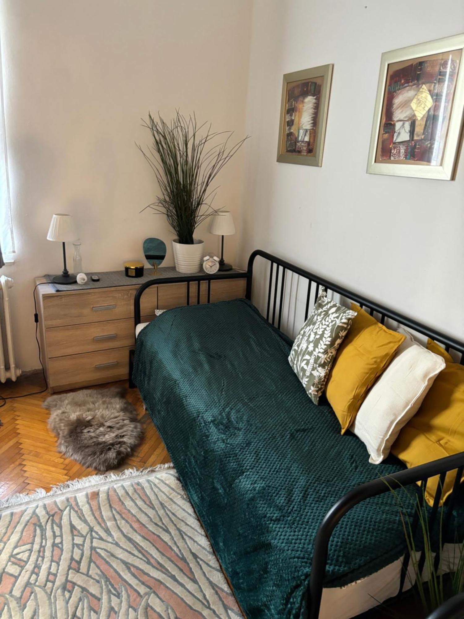 Central Apartment Next To The Elisabeth Bridge ブダペスト エクステリア 写真