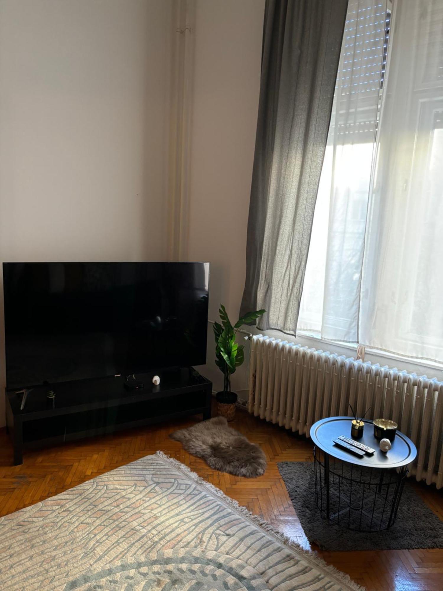 Central Apartment Next To The Elisabeth Bridge ブダペスト エクステリア 写真